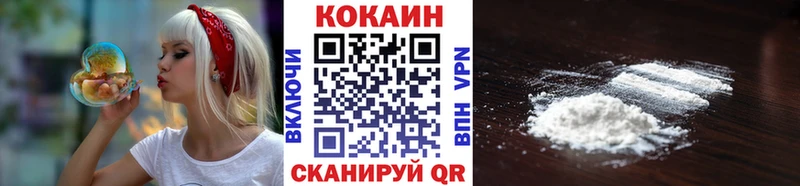 Купить закладки  Новомичуринск  Cocaine Эквадор 