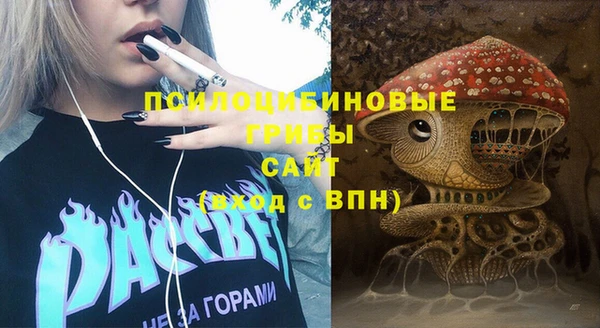 таблы Краснослободск