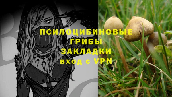 сатива Красноперекопск